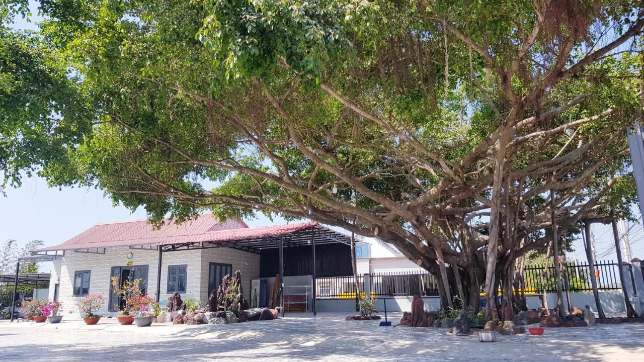 Homestay Thao Nguyen Xanh Lang Van Ke Exterior photo
